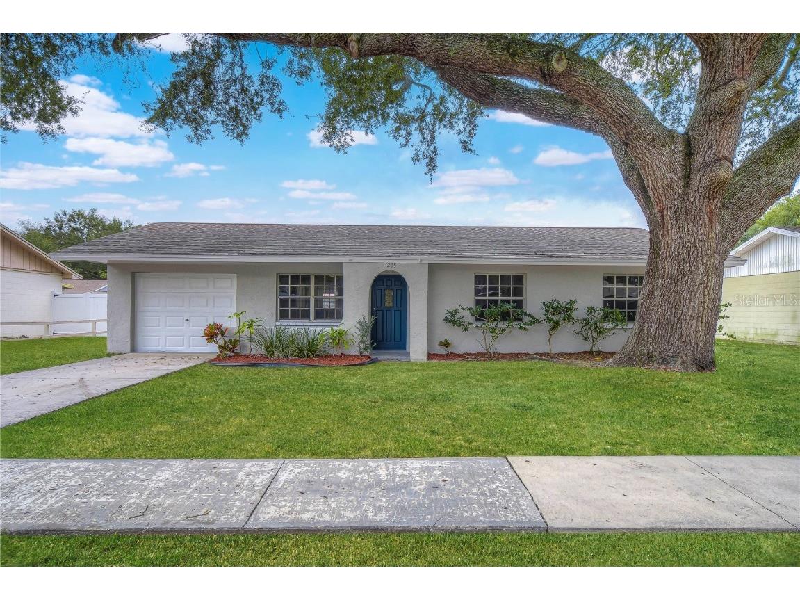 1215 Sagamore Drive Seffner FL 33584 T3499010 image1