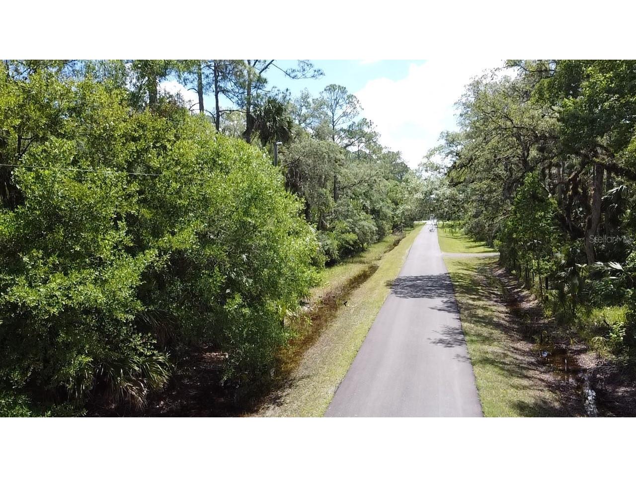 1215 Tall Pines Drive Osteen FL 32764 - ST JOHNS RIVER O6308049 image1