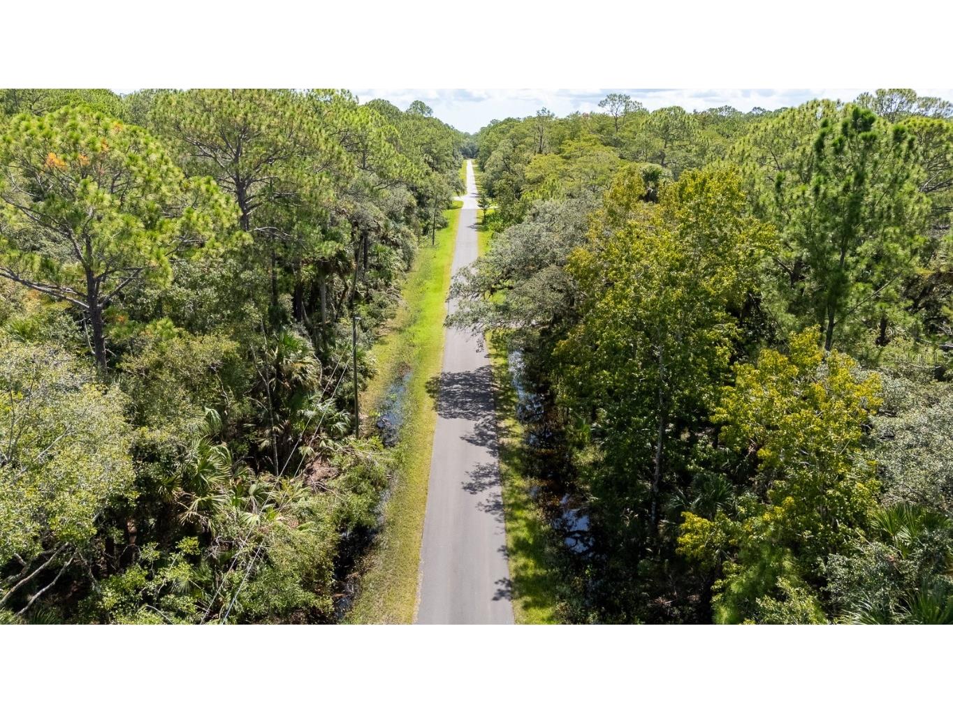 1215 Tall Pines Drive Osteen FL 32764 - ST JOHNS RIVER O6337274 image13