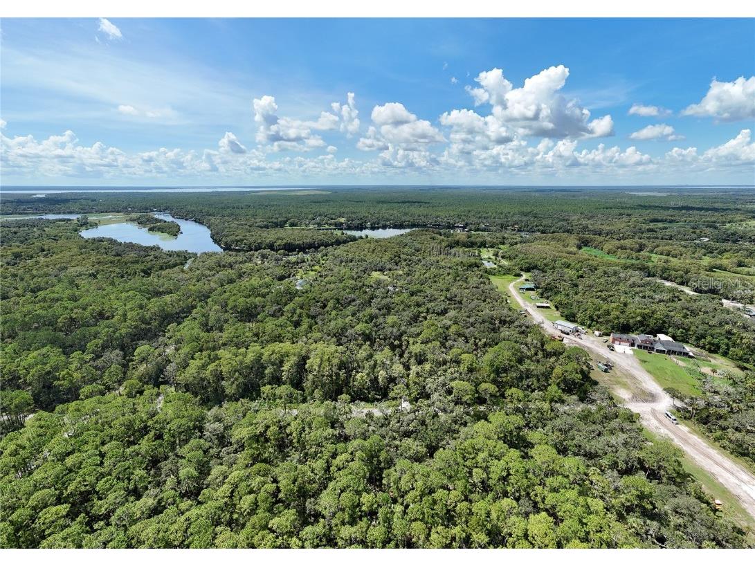 1215 Tall Pines Drive Osteen FL 32764 - ST JOHNS RIVER O6337274 image4