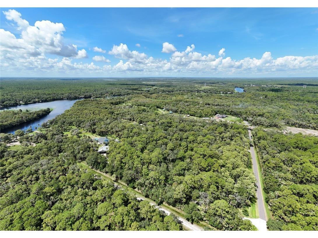 1215 Tall Pines Drive Osteen FL 32764 - ST JOHNS RIVER O6337274 image6