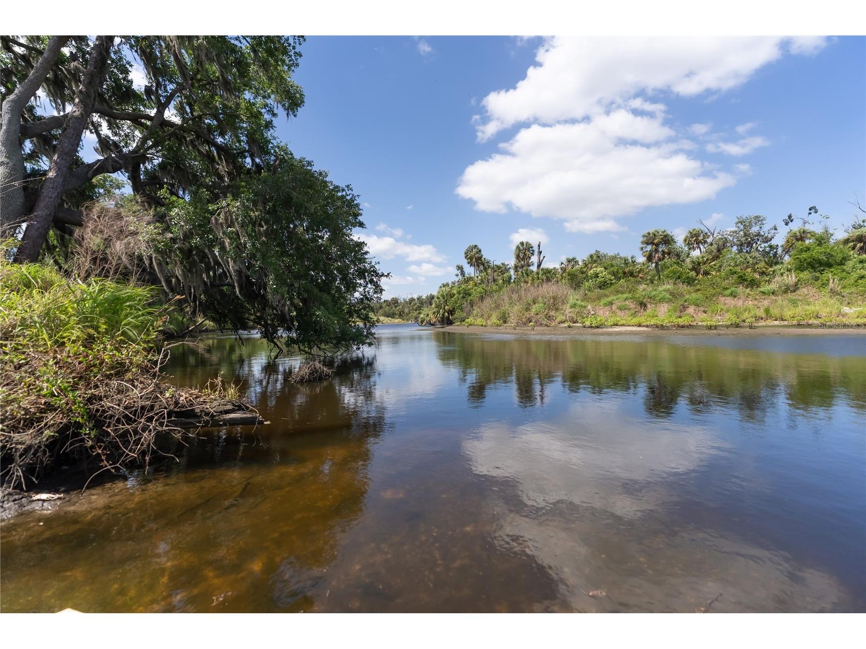 1215 Thornbury Drive Parrish FL 34219 A4690867 image35