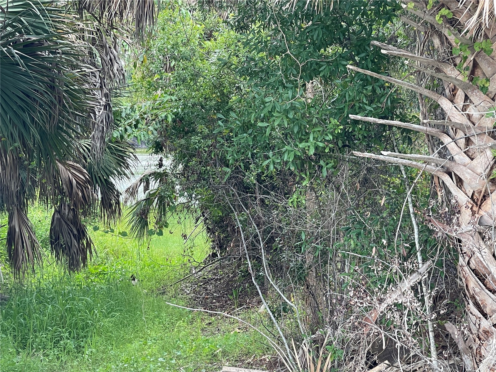 12152 Borax Avenue Punta Gorda FL 33955 C7526399 image3