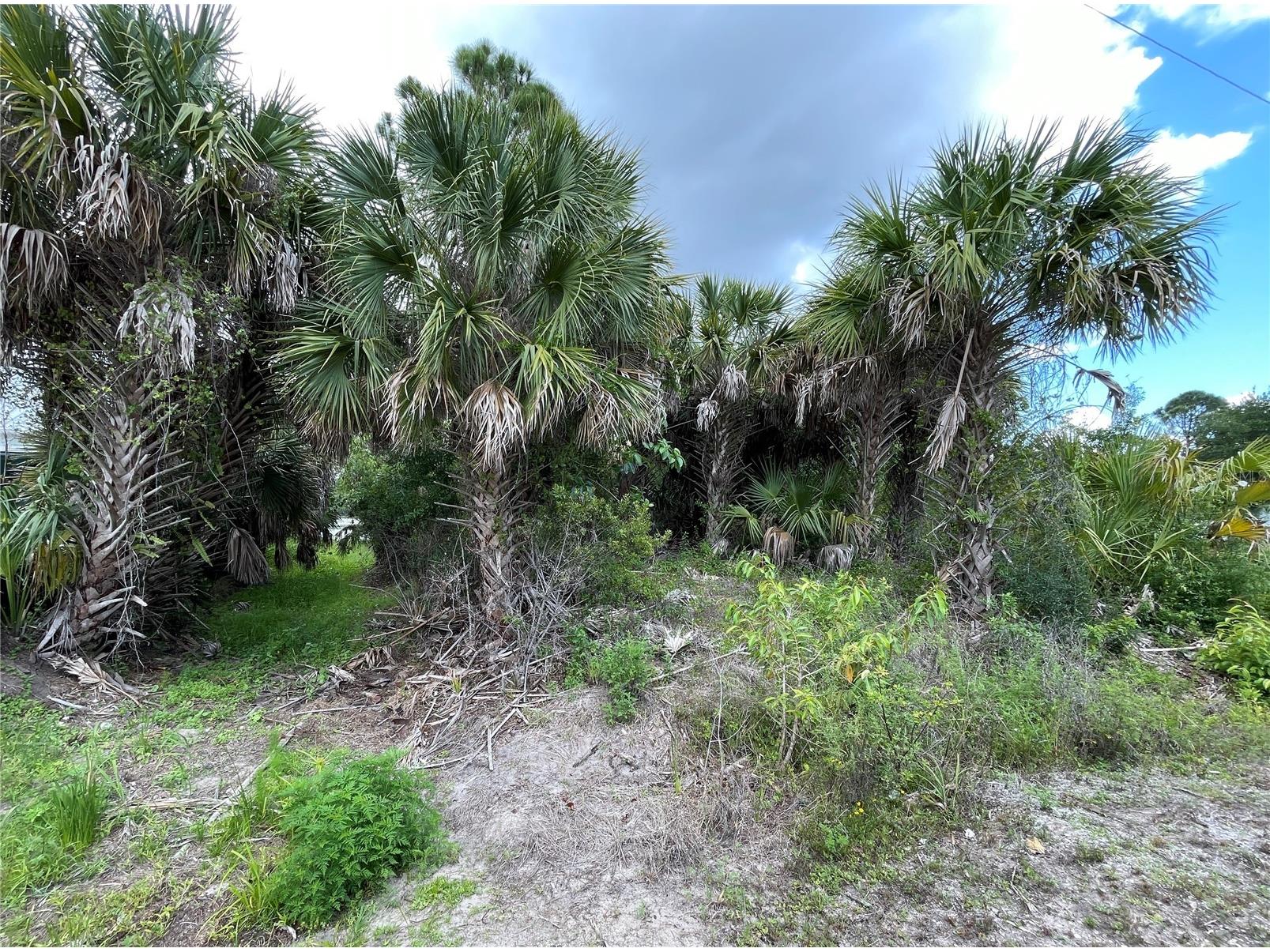 12152 Borax Avenue Punta Gorda FL 33955 C7526399 image5