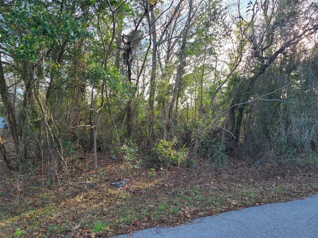 12152 Shafton Road Spring Hill FL 34608 W7847726 image1