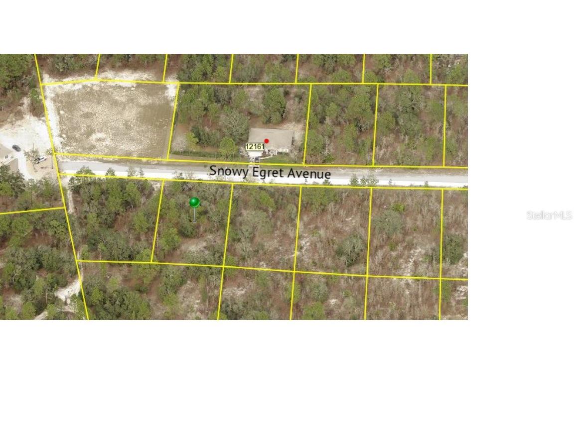 12152 Snowy Egret Avenue Weeki Wachee FL 34614 U8184562 image1