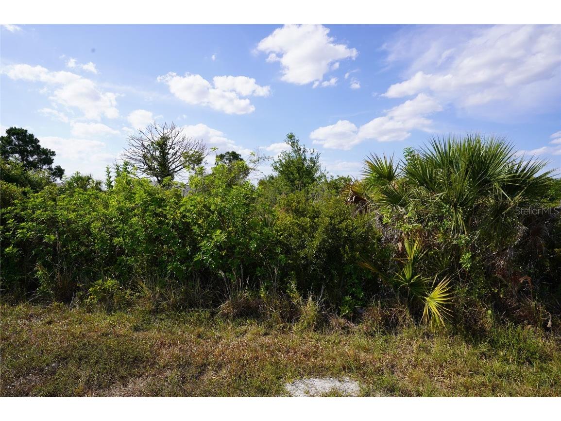 12152 Tetzel Avenue Port Charlotte FL 33981 C7493532 image1