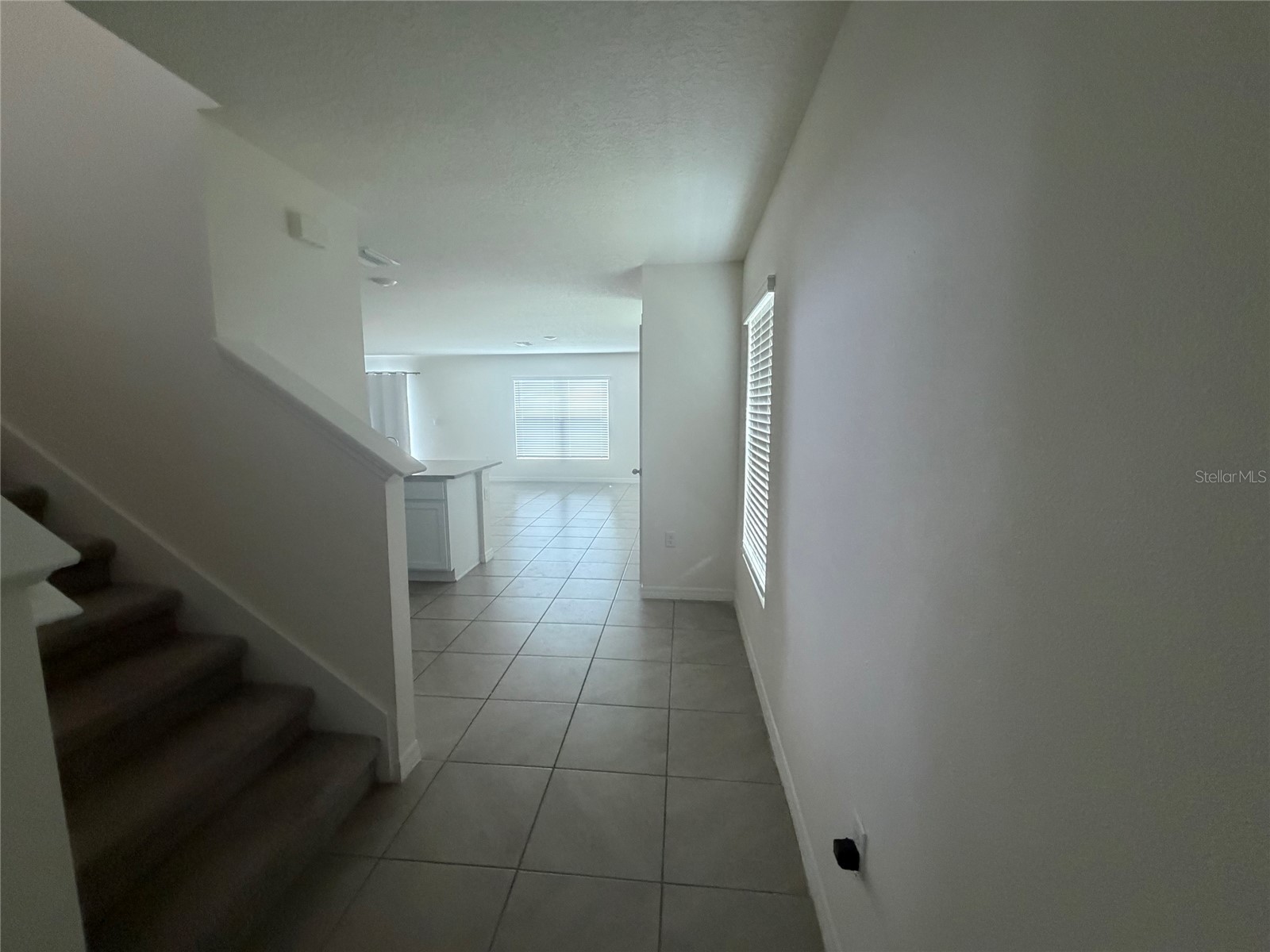 12153 White Cypress Place Riverview FL 33569 TB8514151 image2