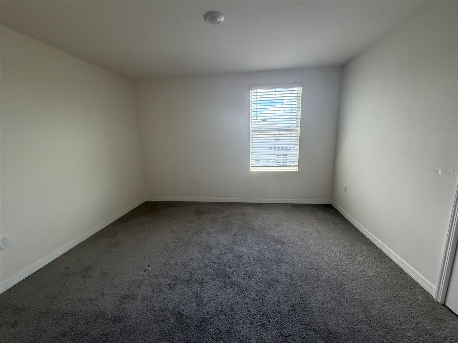 12153 White Cypress Place Riverview FL 33569 TB8514151 image8
