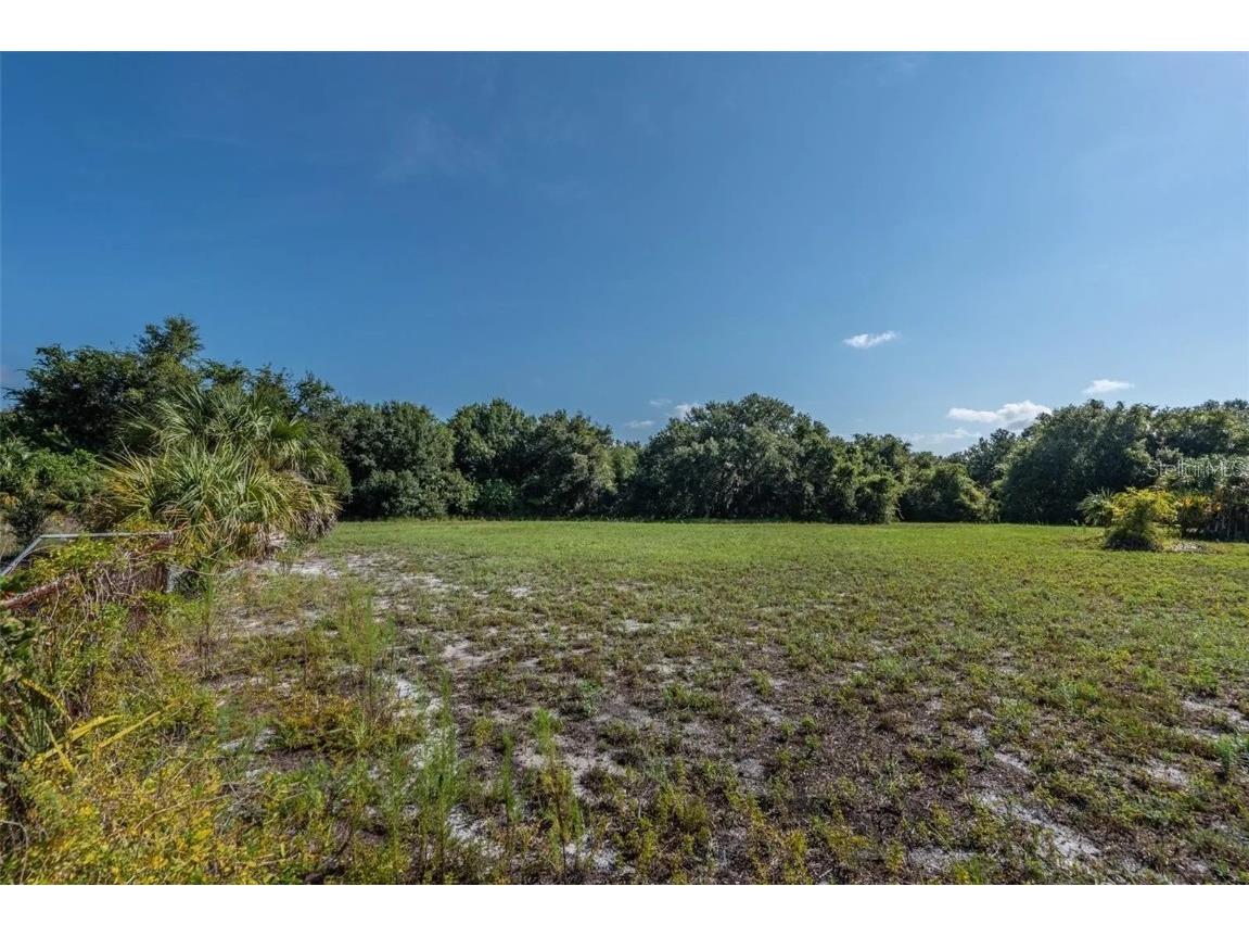 12154 Bullfrog Creek Road Gibsonton FL 33534 TB8315033 image10