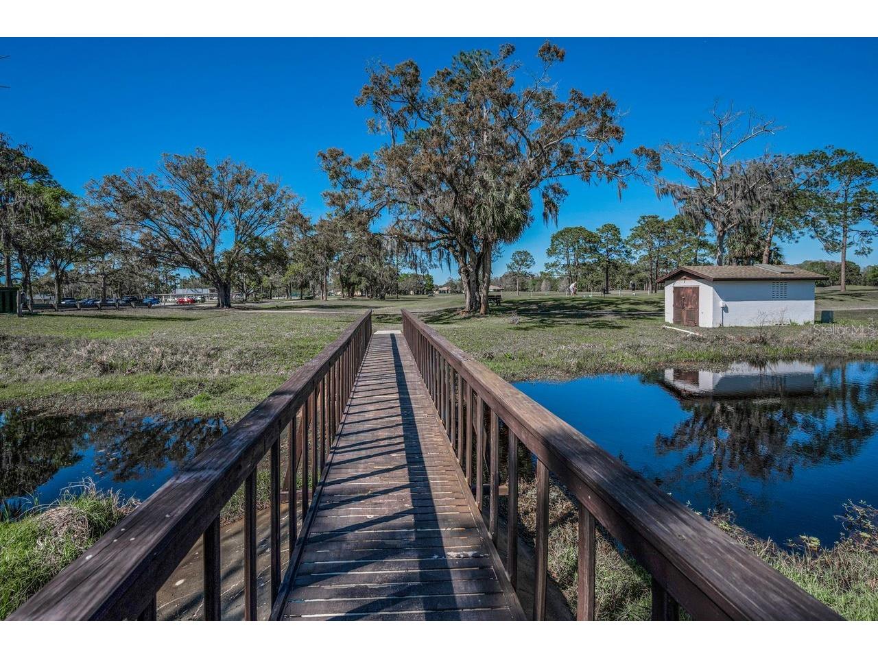 12154 Putter Green Court New Port Richey FL 34654 TB8463821 image49
