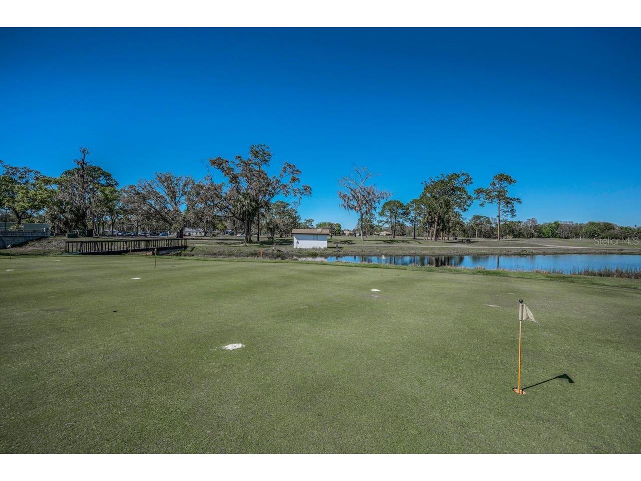 12154 Putter Green Court New Port Richey FL 34654 TB8463821 image50