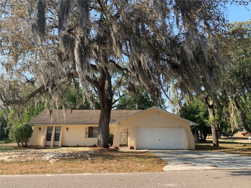 12155 Baxley Street Spring Hill FL 34609 T3437712 image1
