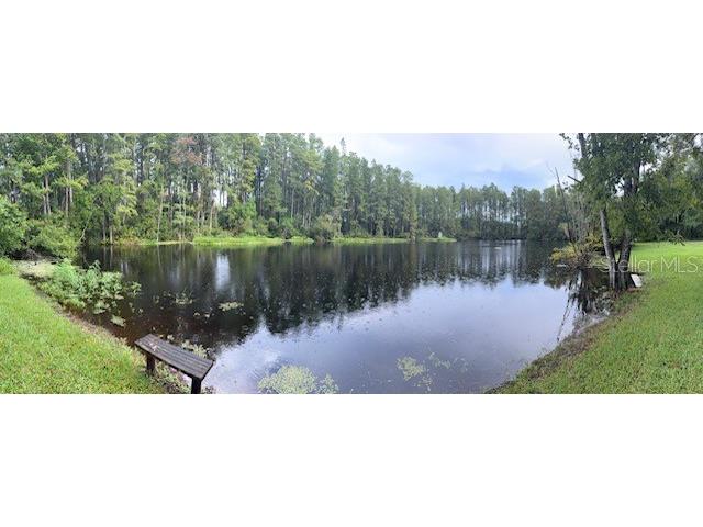 12155 Environmental Drive #6 New Port Richey FL 34654 TB8357462 image31