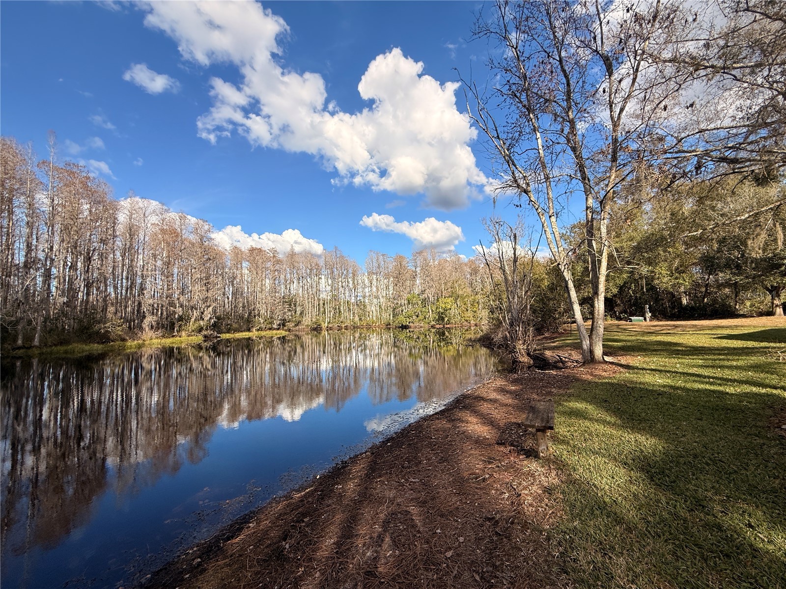 12155 Environmental Drive #6 New Port Richey FL 34654 W7882034 image1