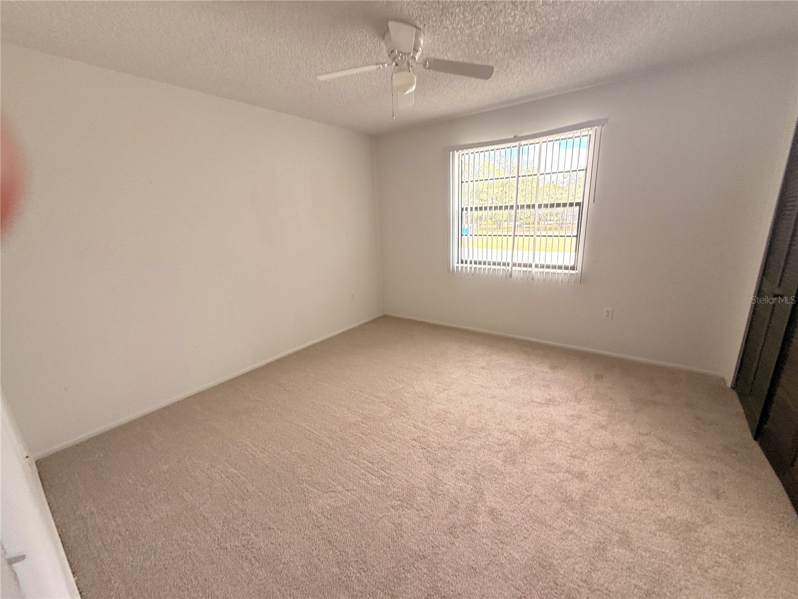 12155 Environmental Drive #6 New Port Richey FL 34654 W7882034 image13