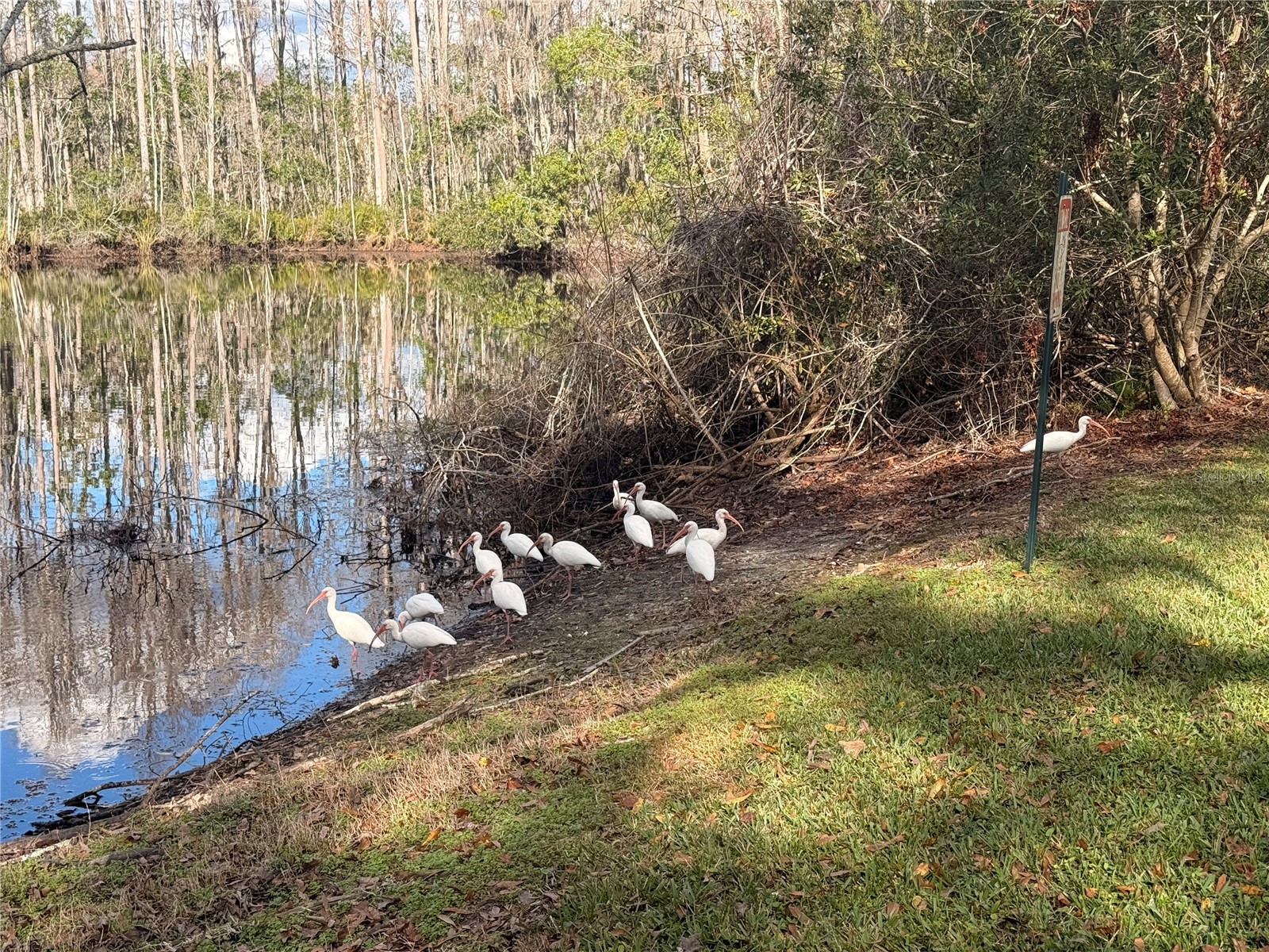 12155 Environmental Drive #6 New Port Richey FL 34654 W7882034 image31