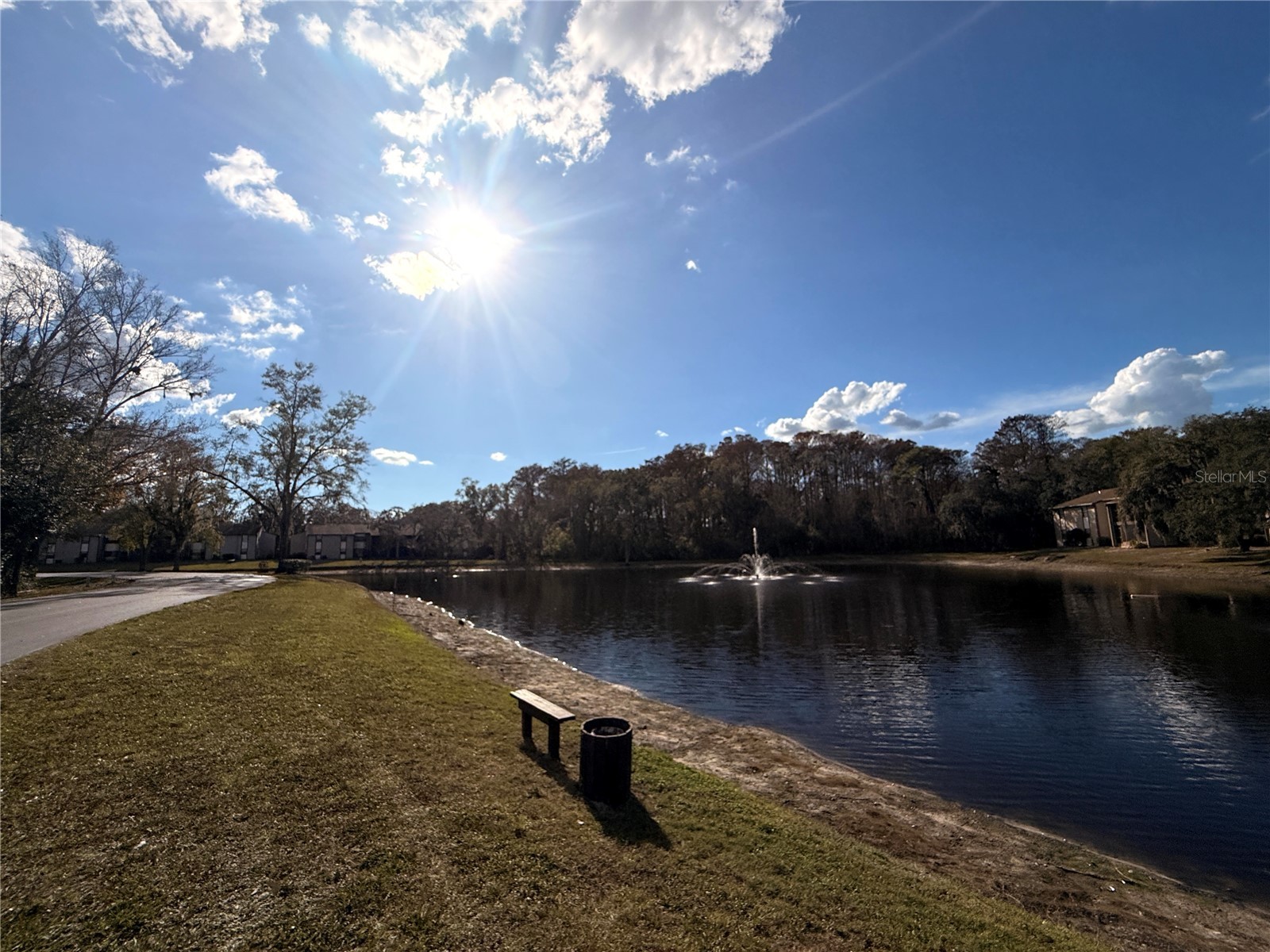 12155 Environmental Drive #6 New Port Richey FL 34654 W7882034 image33