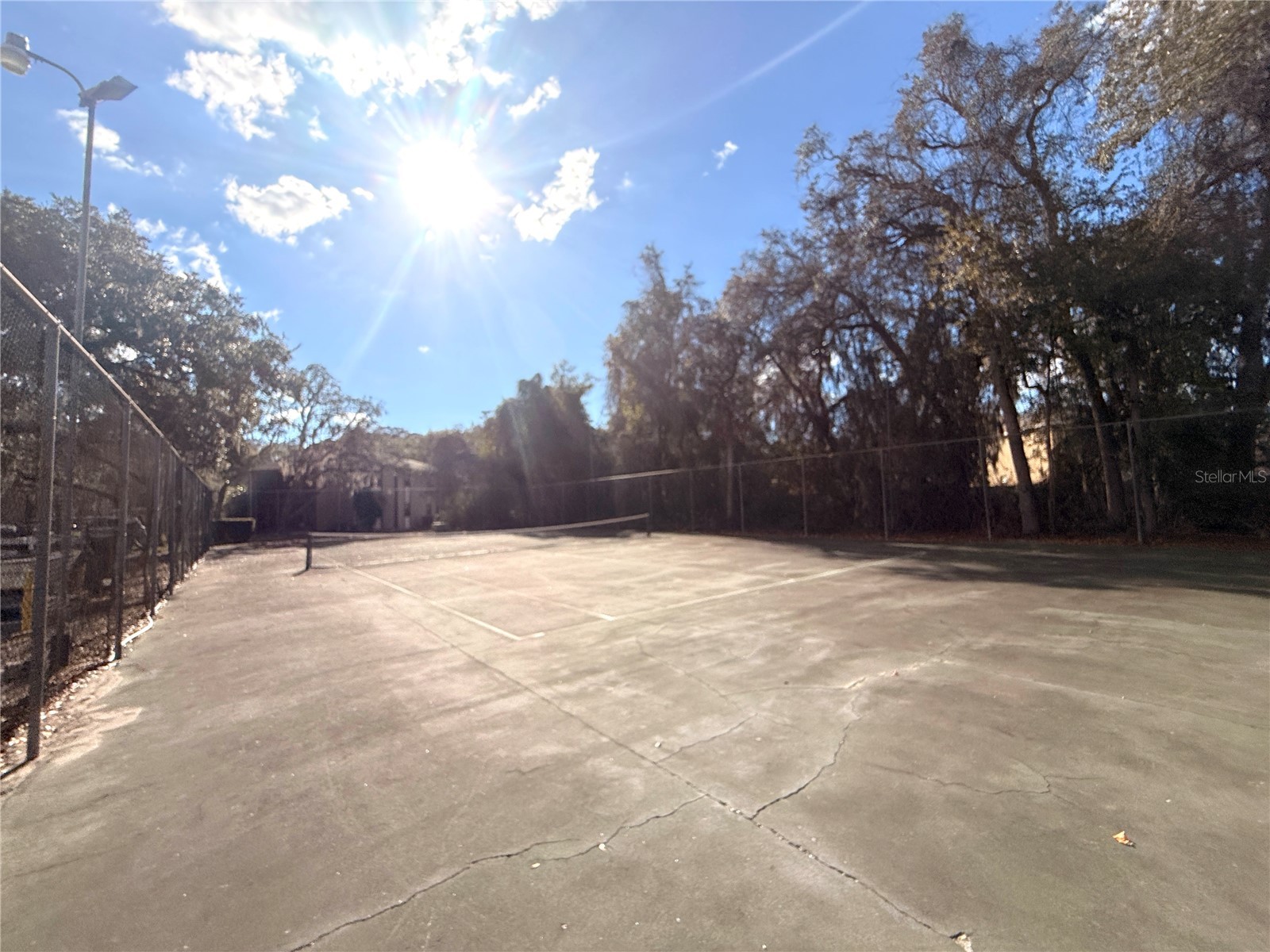 12155 Environmental Drive #6 New Port Richey FL 34654 W7882034 image35