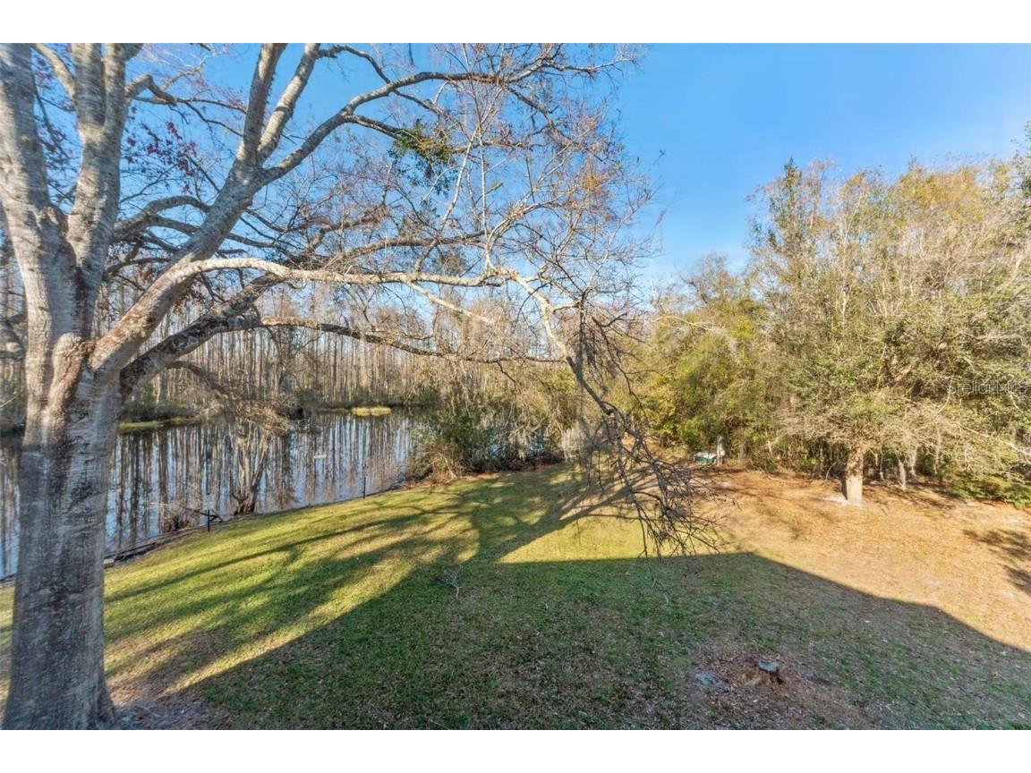 12155 Environmental Drive #8 New Port Richey FL 34654 W7877419 image31