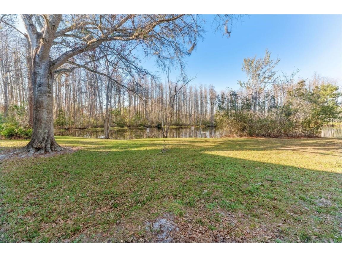 12155 Environmental Drive #8 New Port Richey FL 34654 W7877419 image32