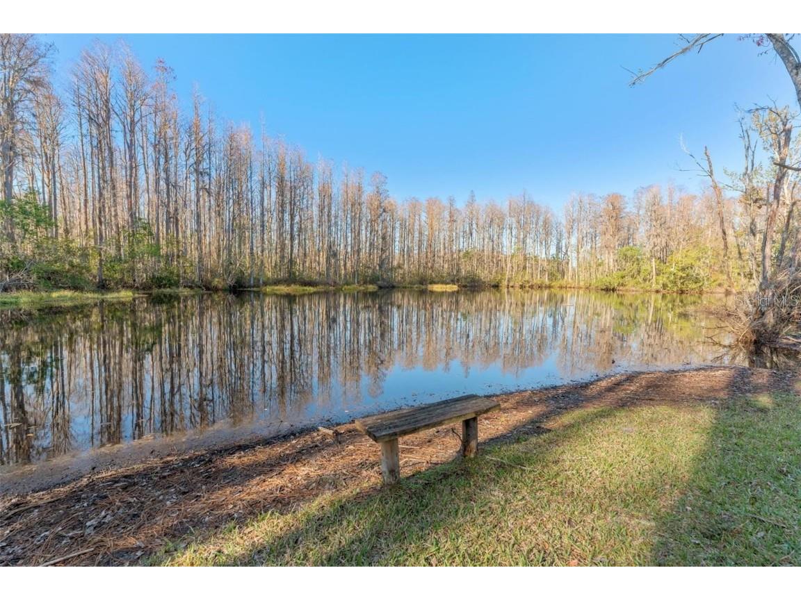 12155 Environmental Drive #8 New Port Richey FL 34654 W7877419 image33