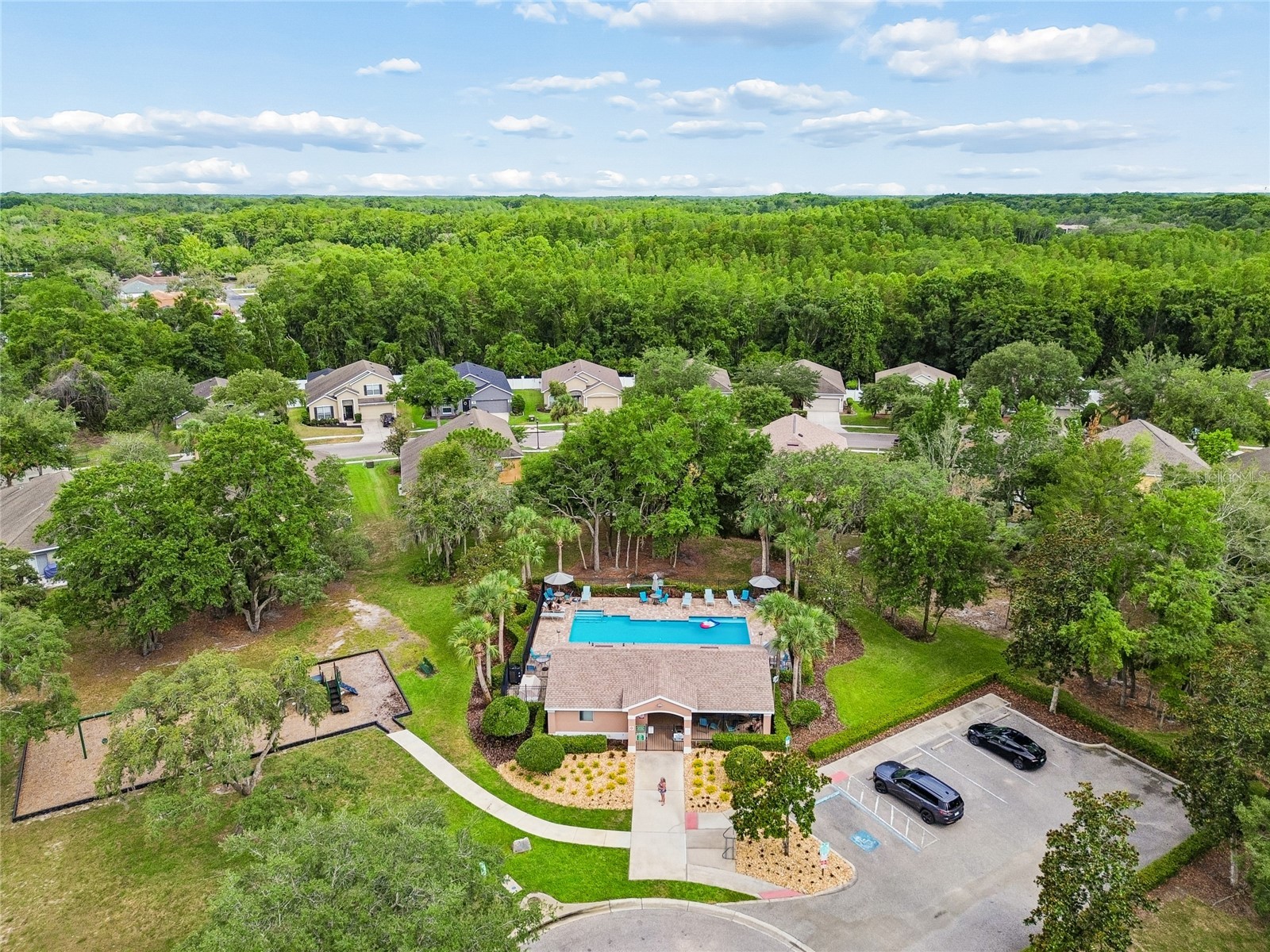 12155 Infinity Drive New Port Richey FL 34654 TB8520022 image69
