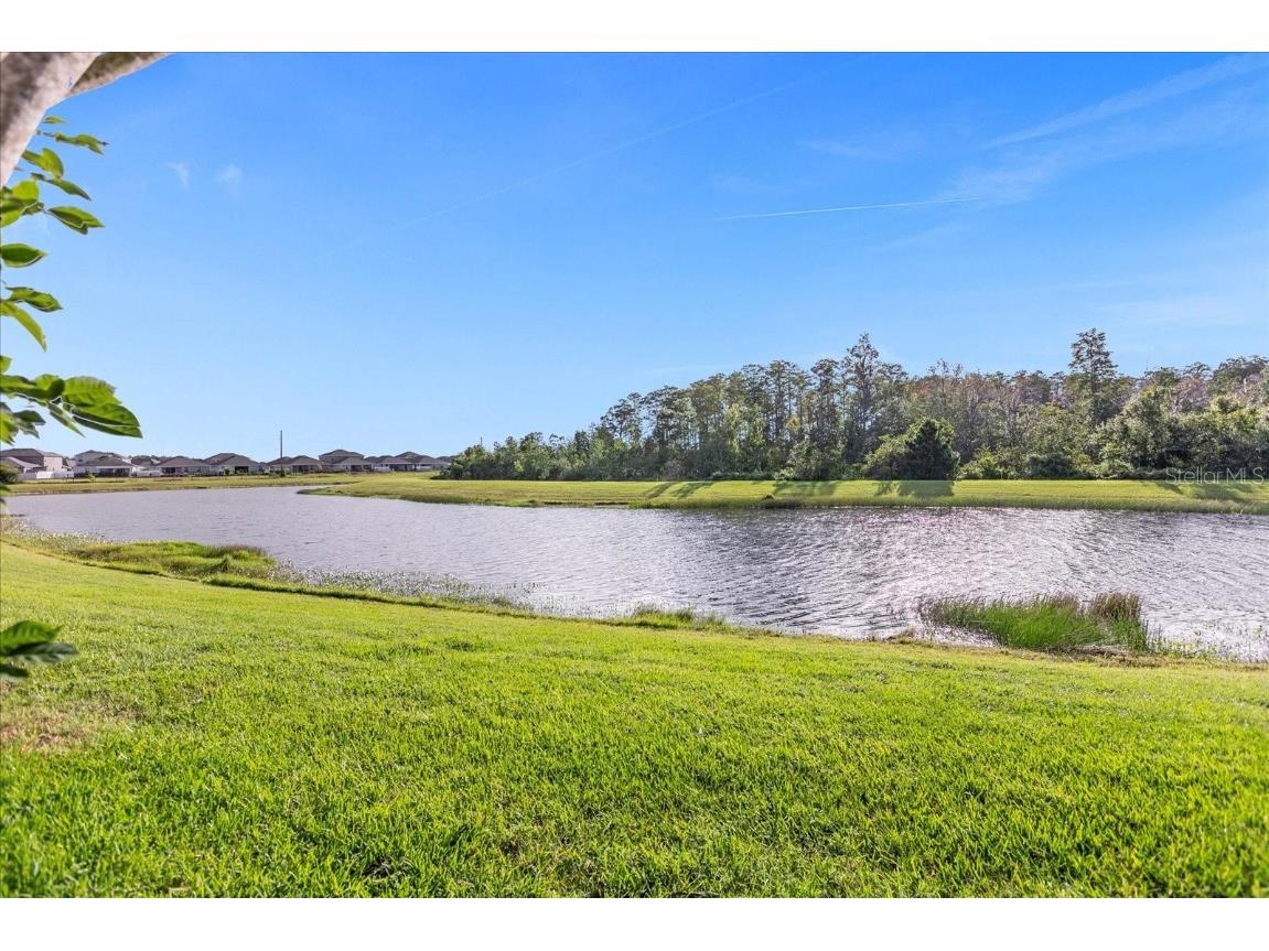 12155 Sumter Drive Orlando FL 32824 O6364064 image55