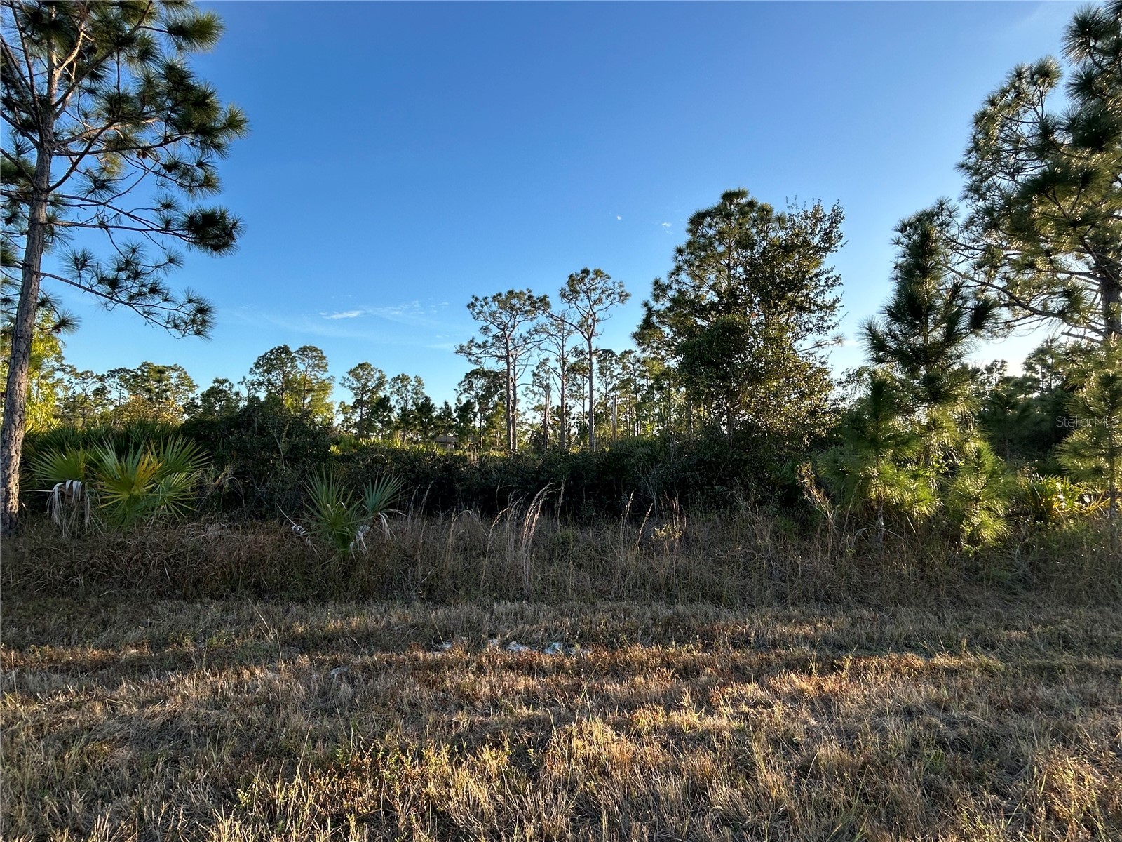 12157 Gisinger Boulevard Port Charlotte FL 33981 C7520221 image1