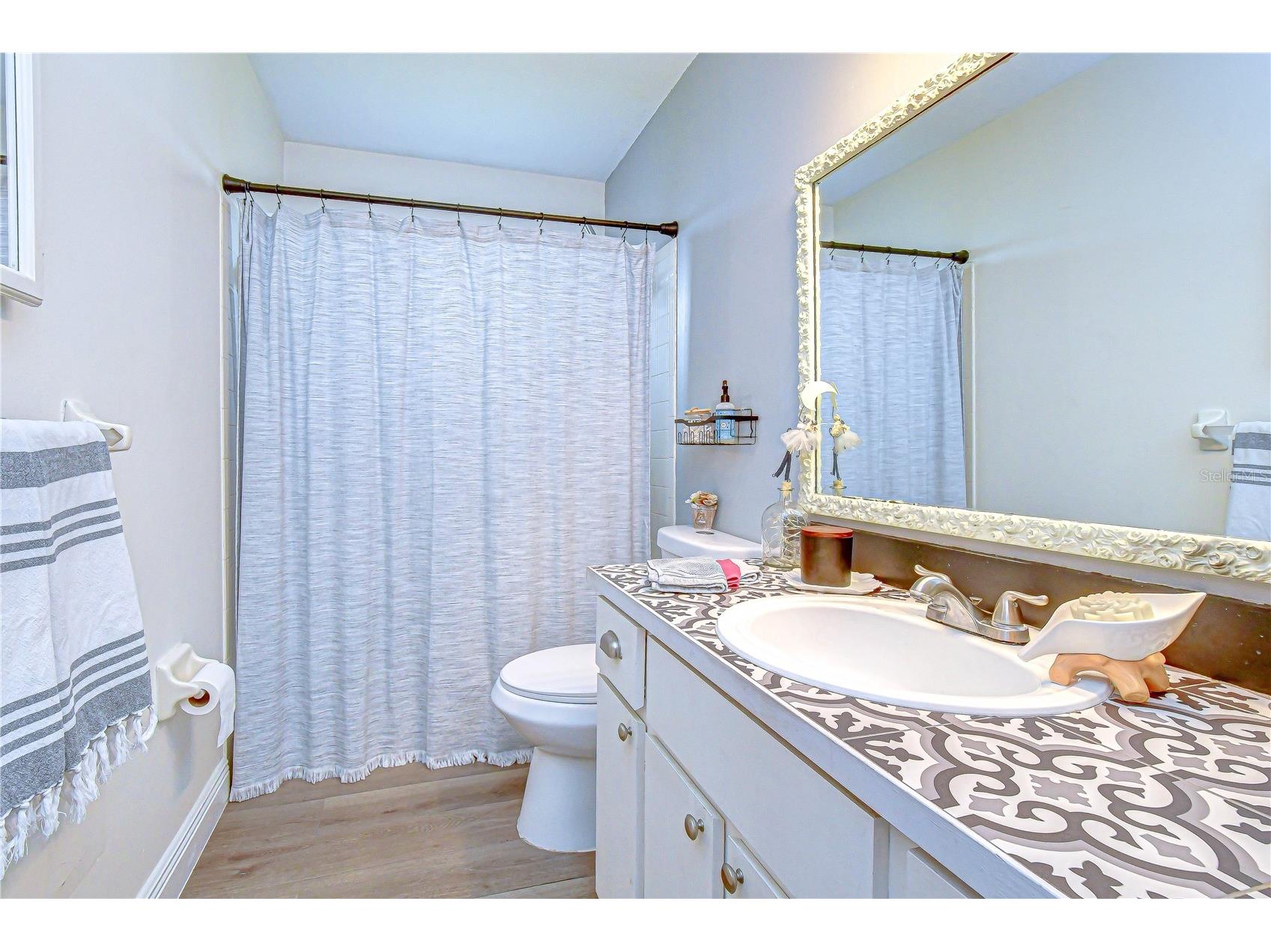 1216 Brandon Lakes Avenue Valrico FL 33594 TB8495506 image18