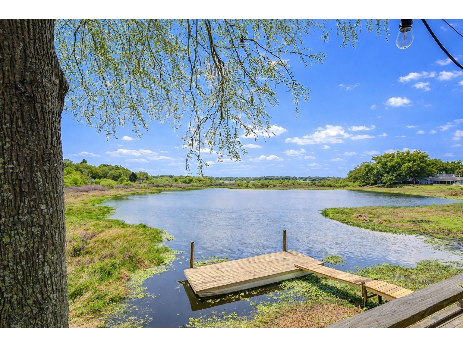 1216 Brandon Lakes Avenue Valrico FL 33594 TB8495506 image24