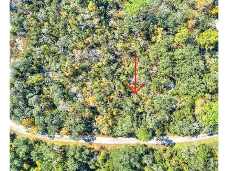 1216 Cacoa Road Lake Placid FL 33852 T3428040 image1
