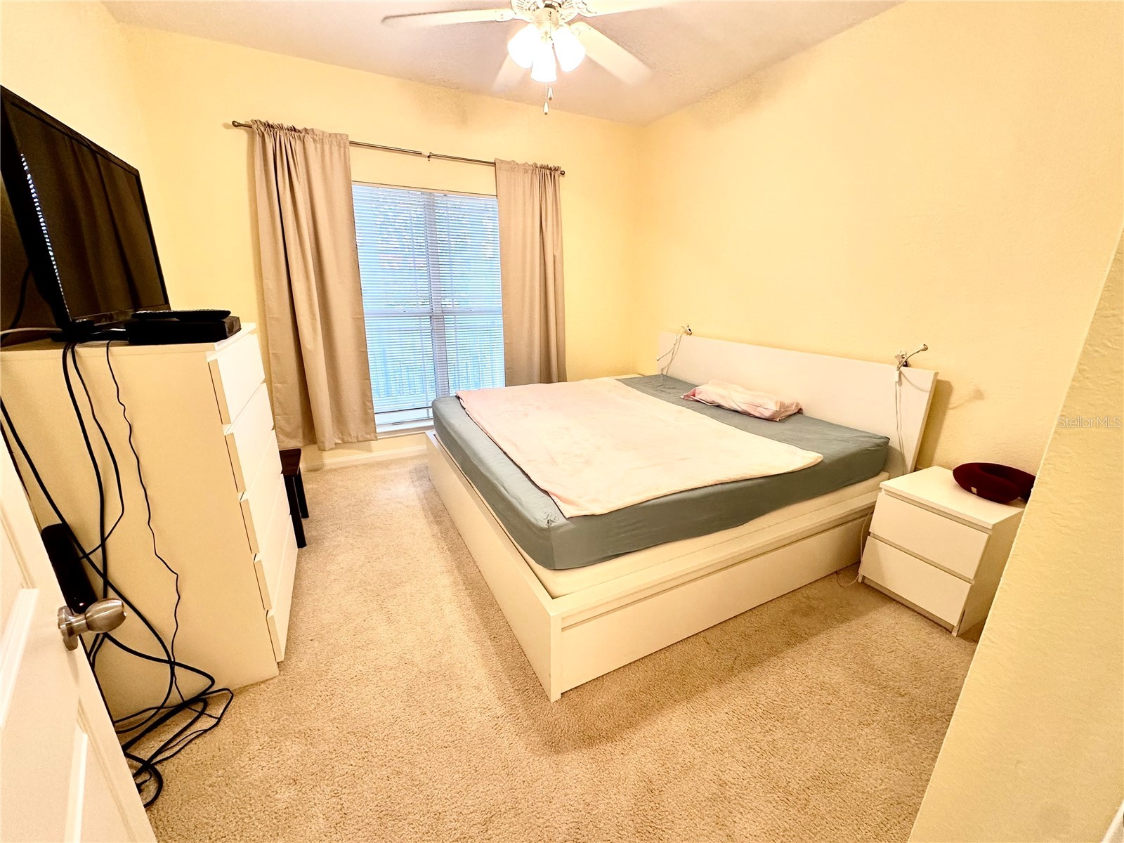 1216 Missouri Avenue S #126 Clearwater FL 33756 TB8512518 image10