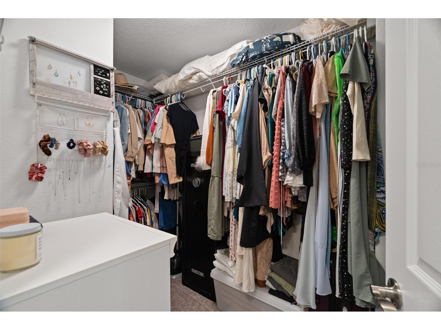 1216 Multiflora Loop Lutz FL 33558 TB8453691 image34