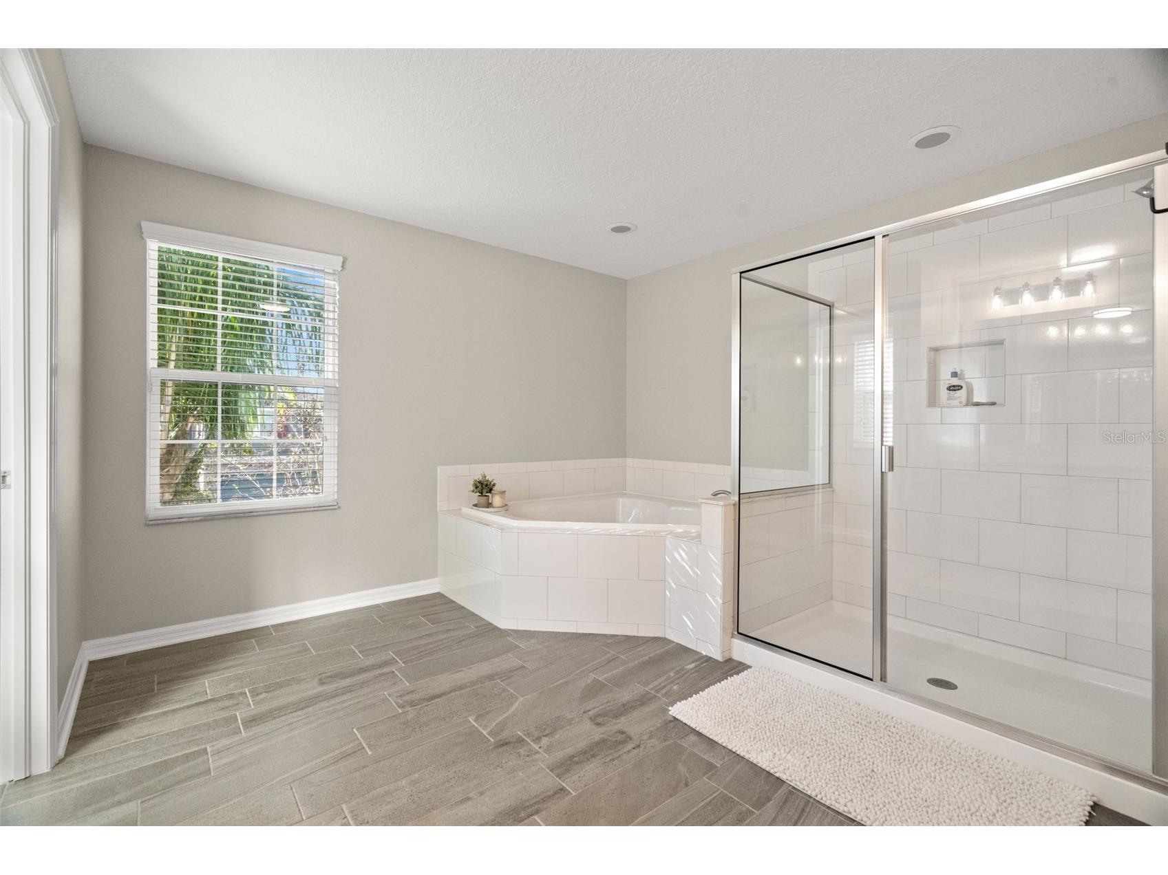 1216 Multiflora Loop Lutz FL 33558 TB8453691 image36