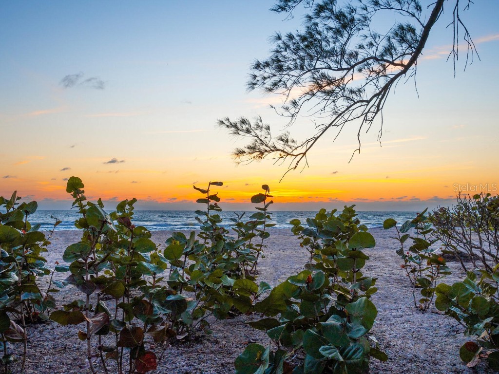 1216 N Casey Key Road Osprey FL 34229 - THE GULF AND SARASOTA BAY A4643654 image55