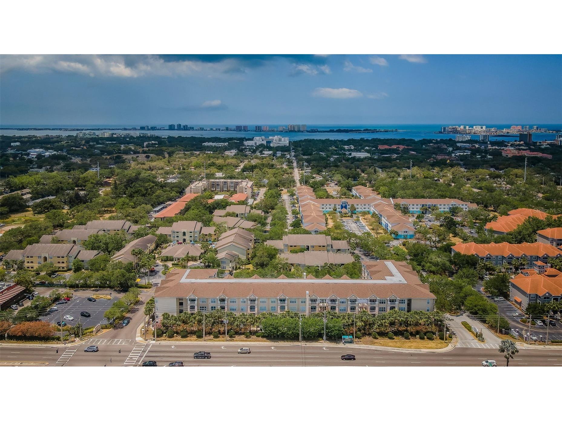 1216 S Missouri Avenue #108 Clearwater FL 33756 TB8460662 image4
