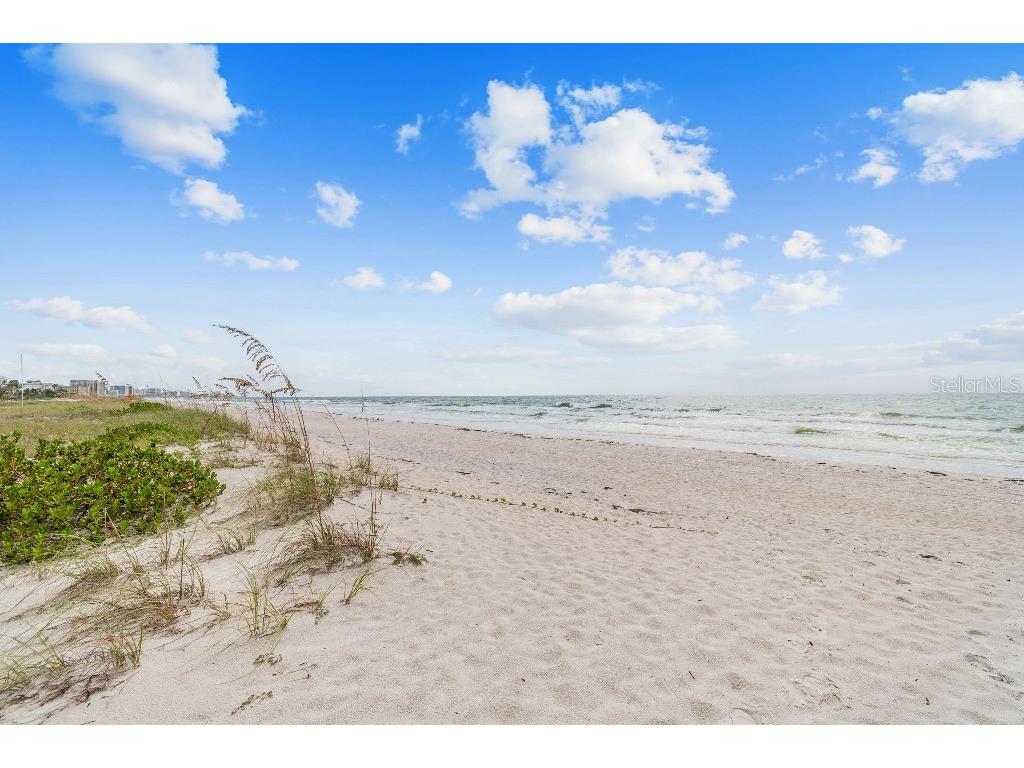 1216 S Missouri Avenue #120 Clearwater FL 33756 TB8425876 image72