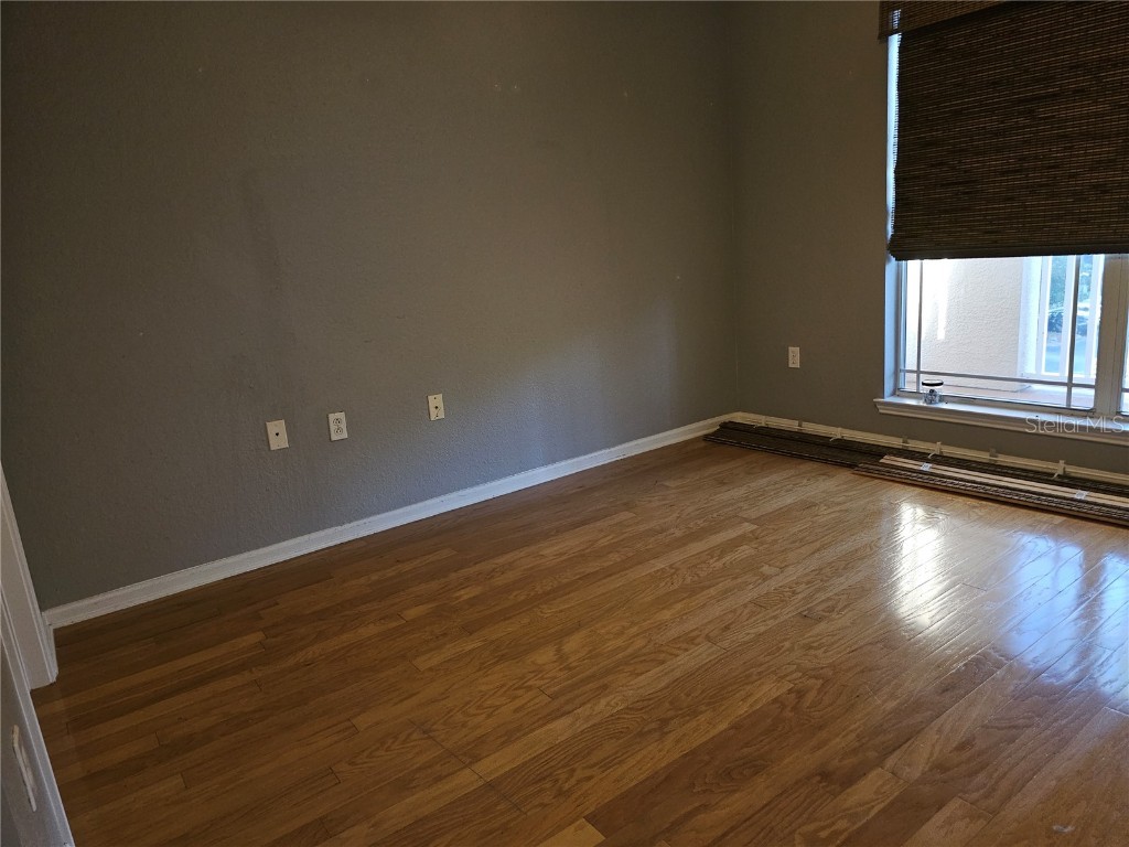 1216 S Missouri Avenue #202 Clearwater FL 33756 TB8454805 image12