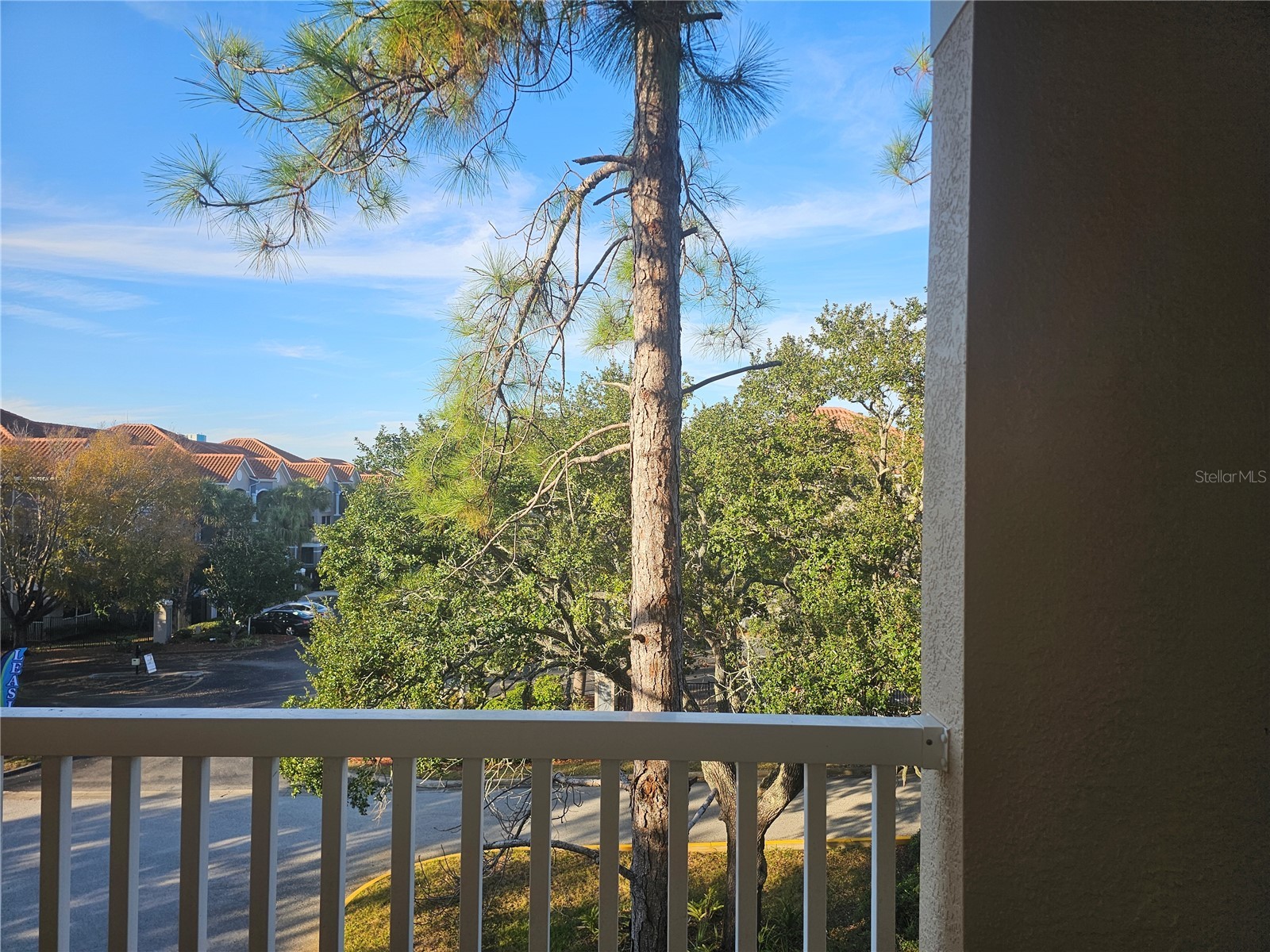 1216 S Missouri Avenue #202 Clearwater FL 33756 TB8454805 image21