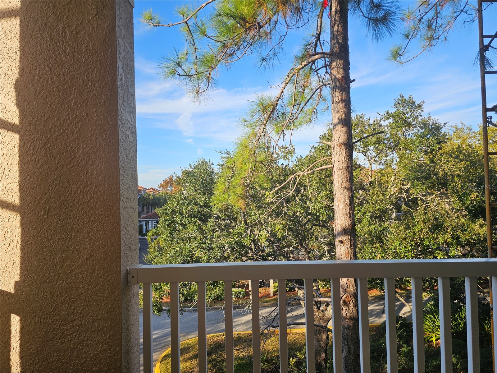 1216 S Missouri Avenue #202 Clearwater FL 33756 TB8454805 image22