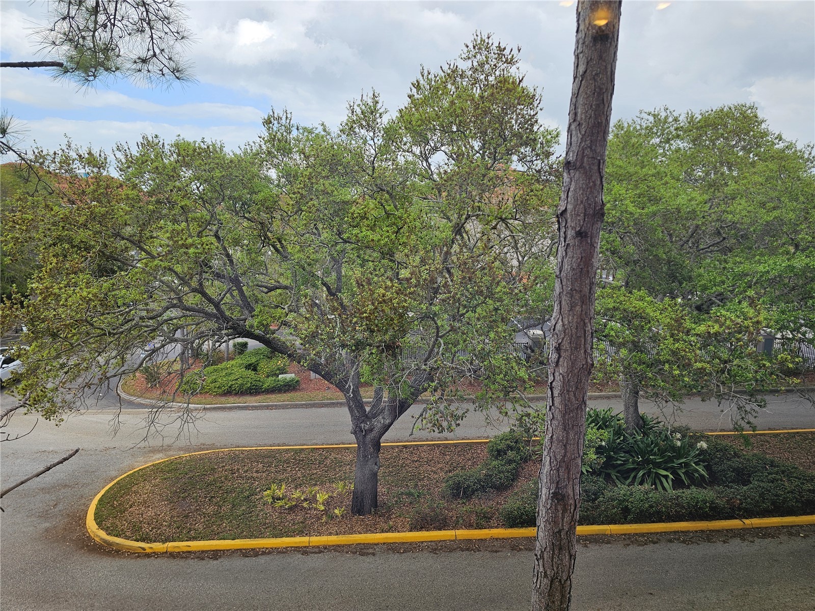 1216 S Missouri Avenue #202 Clearwater FL 33756 TB8454805 image27