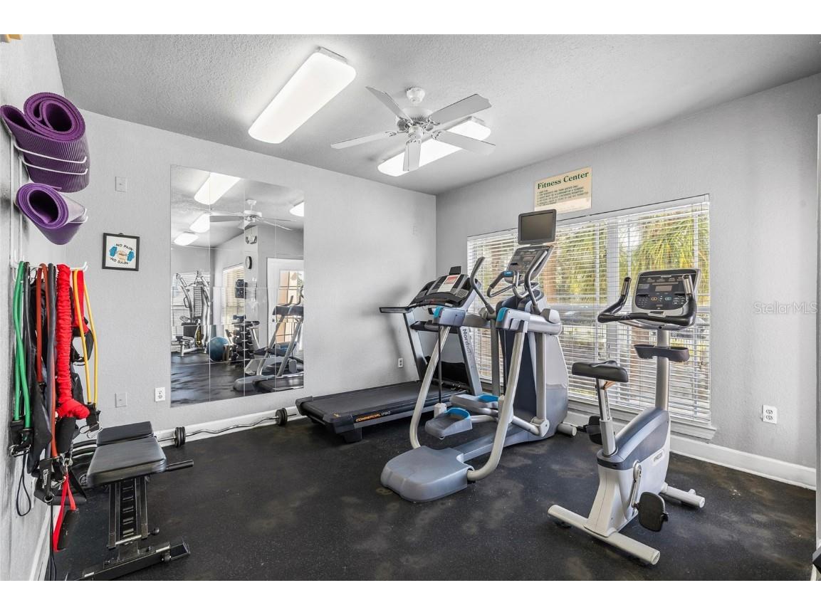 1216 S Missouri Avenue #203 Clearwater FL 33756 TB8449651 image28