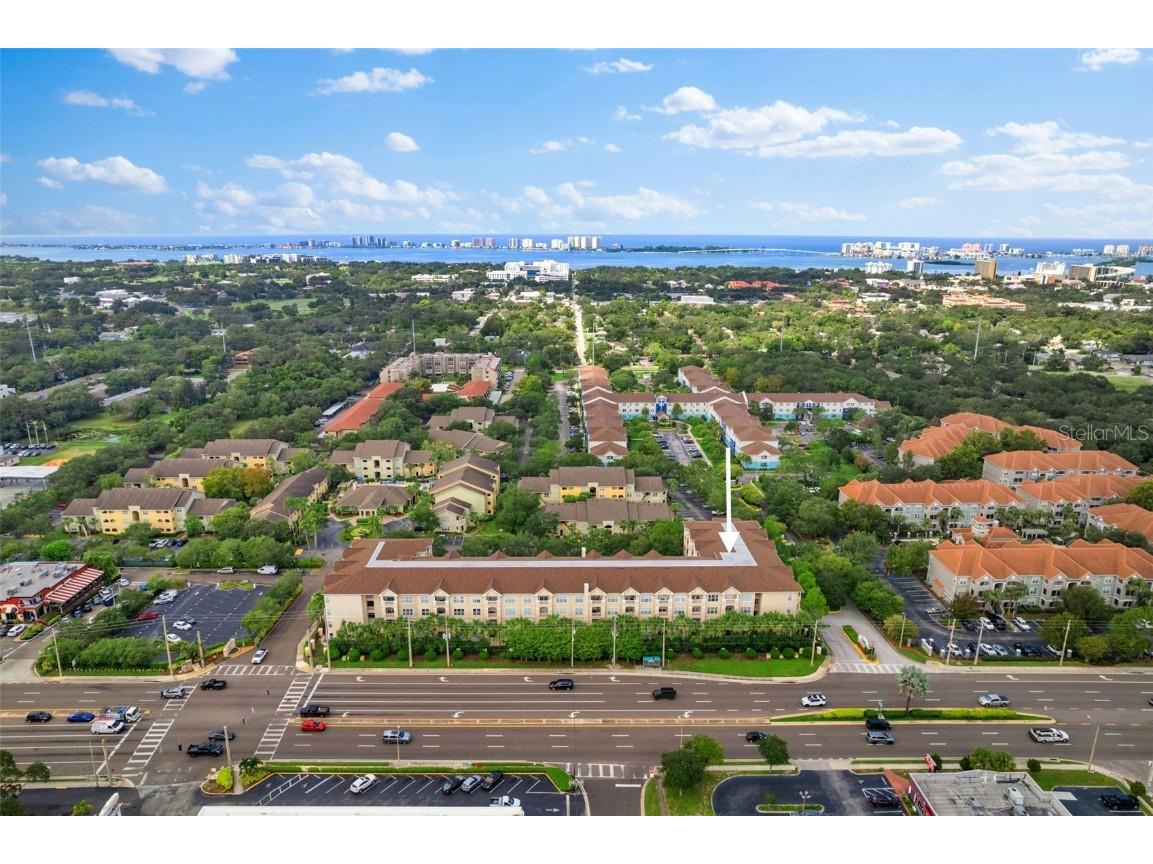 1216 S Missouri Avenue #204 Clearwater FL 33756 TB8307214 image1