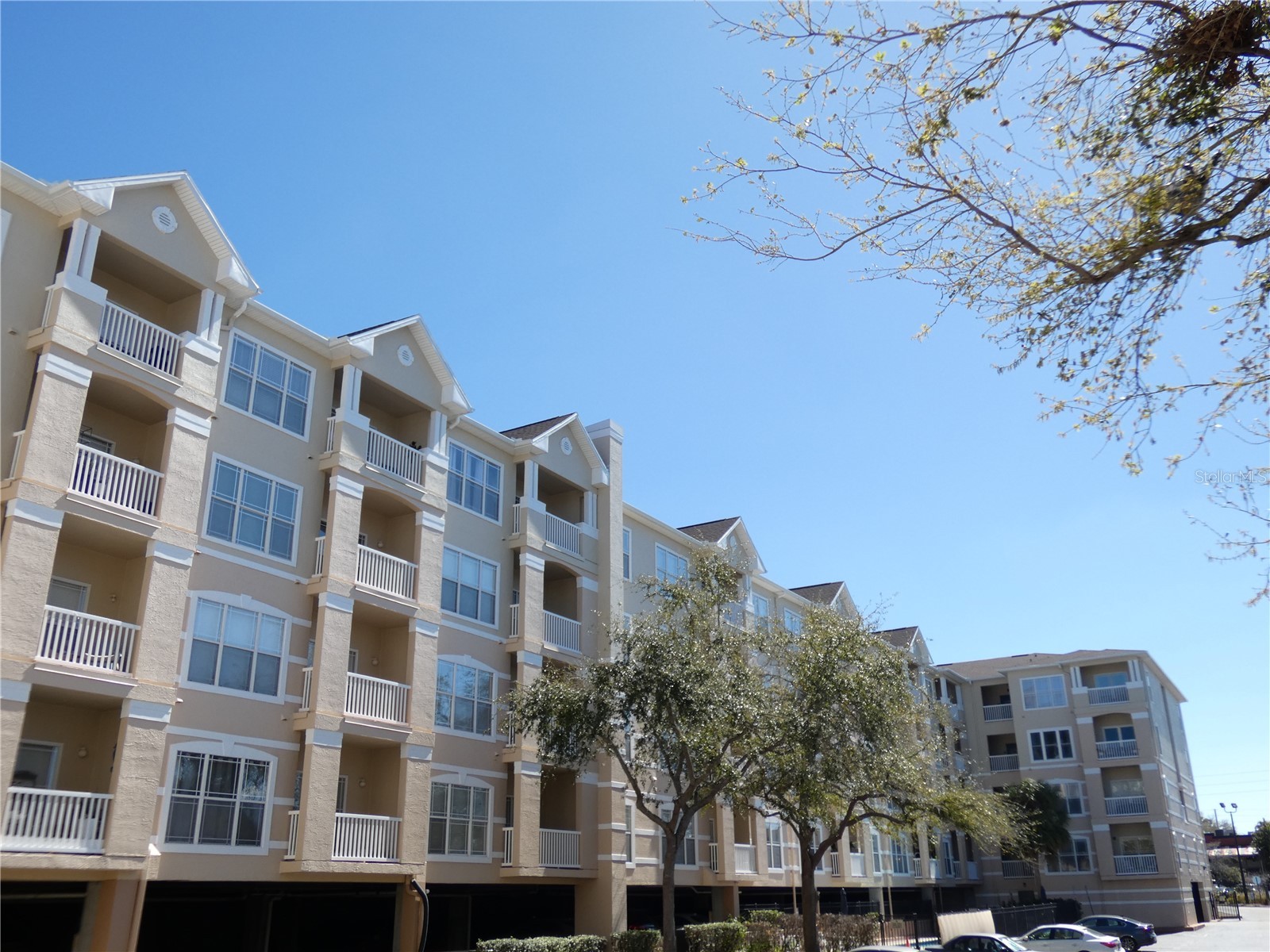 1216 S Missouri Avenue #209 Clearwater FL 33756 W7883313 image1