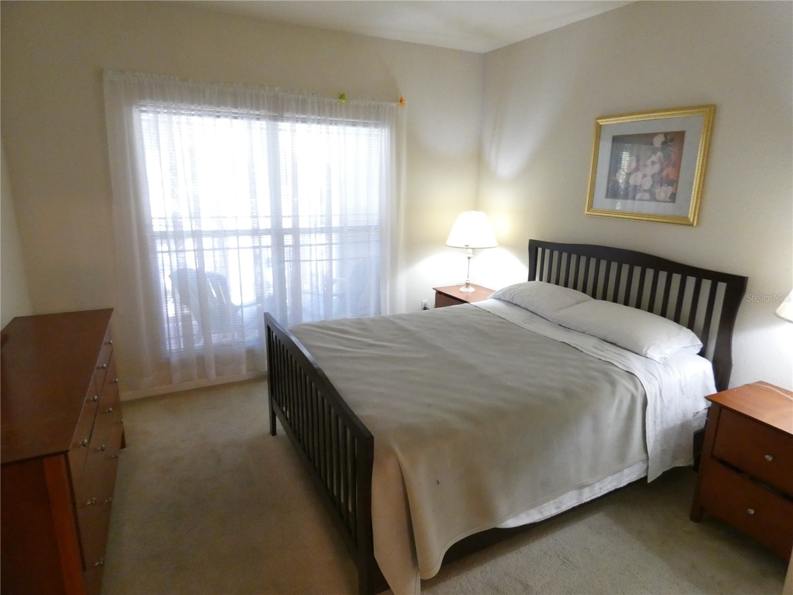1216 S Missouri Avenue #209 Clearwater FL 33756 W7883313 image13