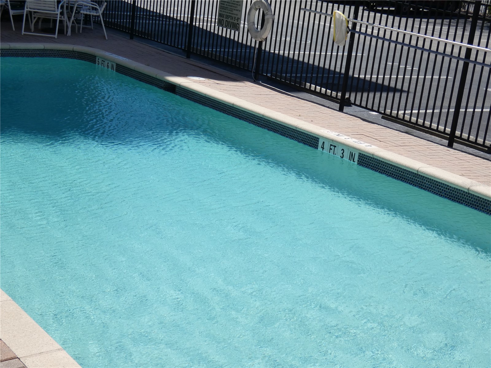 1216 S Missouri Avenue #209 Clearwater FL 33756 W7883313 image21
