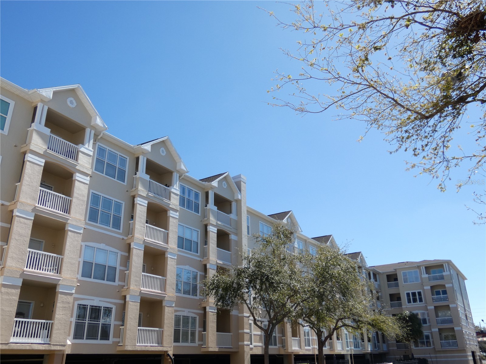 1216 S Missouri Avenue #209 Clearwater FL 33756 W7883313 image24
