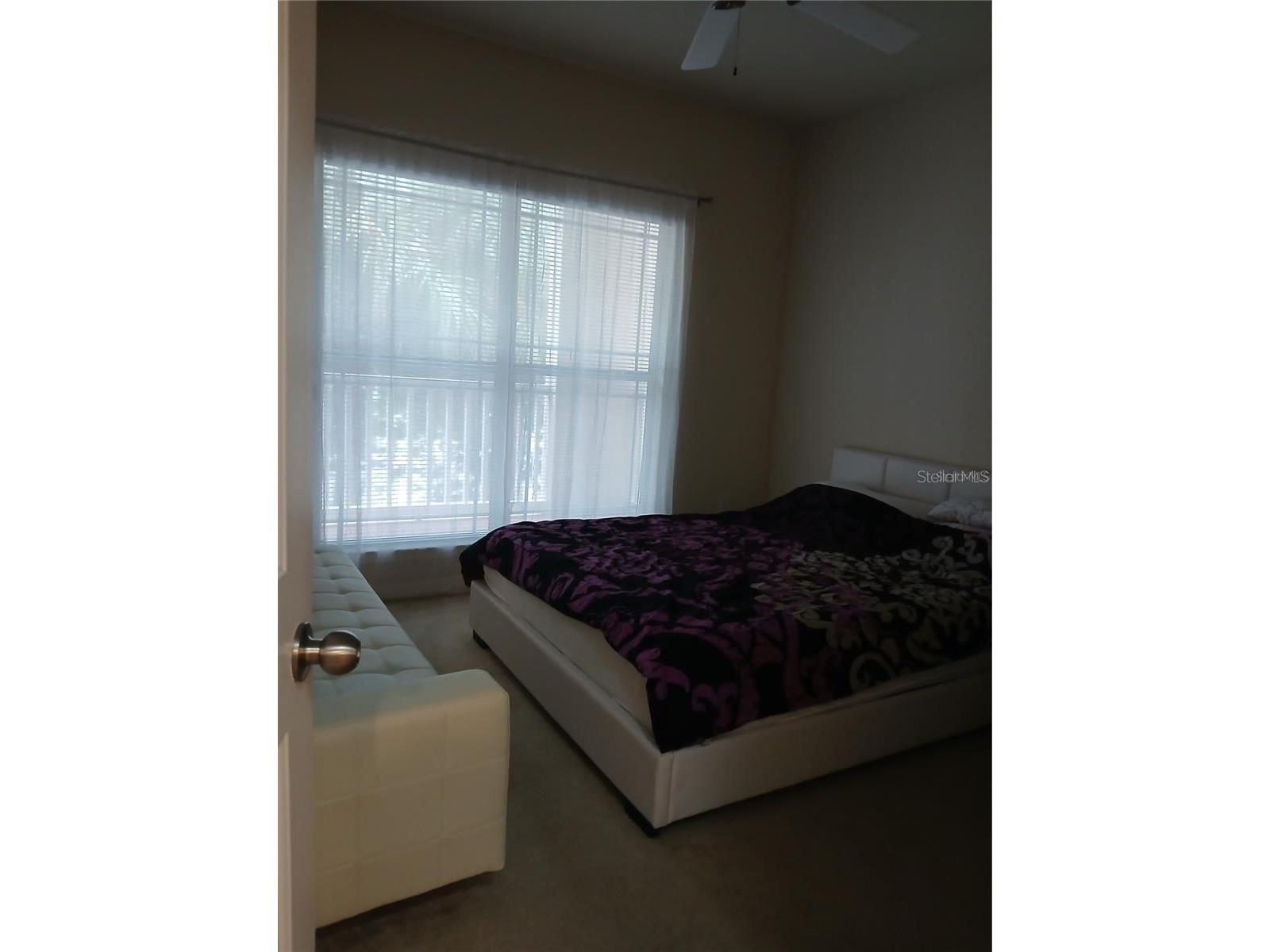 1216 S Missouri Avenue #218 Clearwater FL 33756 TB8467066 image14