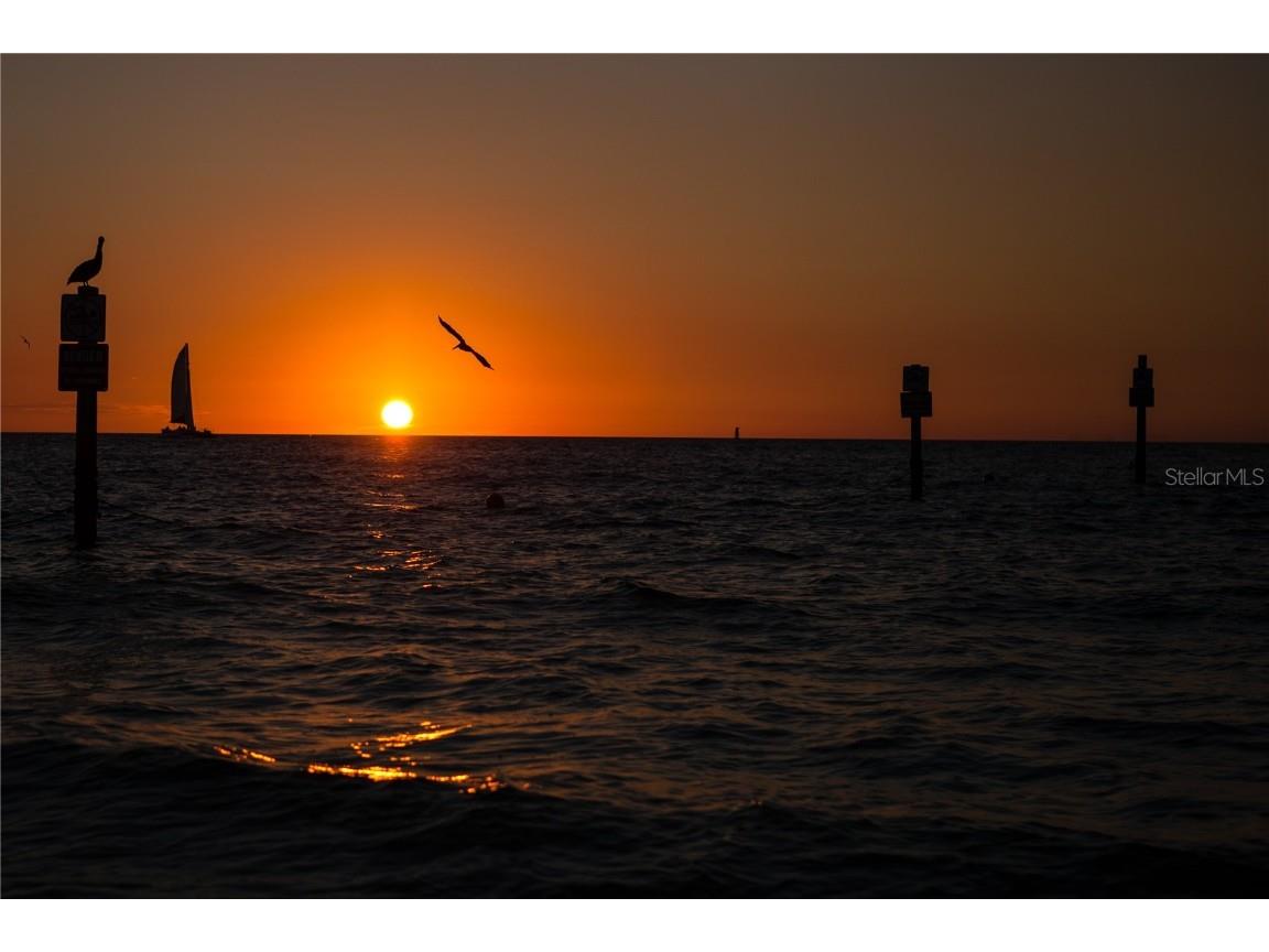 1216 S Missouri Avenue #220 Clearwater FL 33756 TB8440584 image58